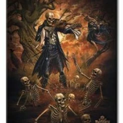 Skulls & Death Danse Macabre - Metal Plaque