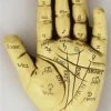 Palmistry Hand kit 2 Palmistry Hand kit -Gothic & Fantasy Art Sales Store G NV51 2 02745.1656781072