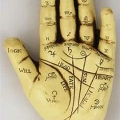 Palmistry Hand kit