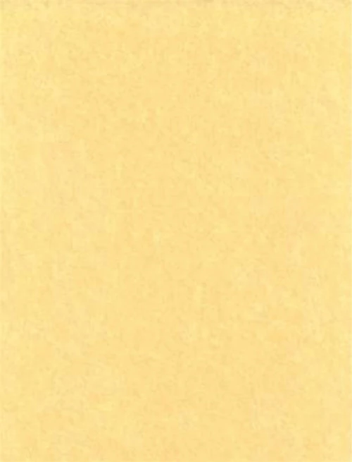 Light Parchment Paper - 5 pack 3 Light Parchment Paper - 5 pack