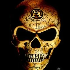 Skulls & Death Alchemy - Omega Skull wall flag