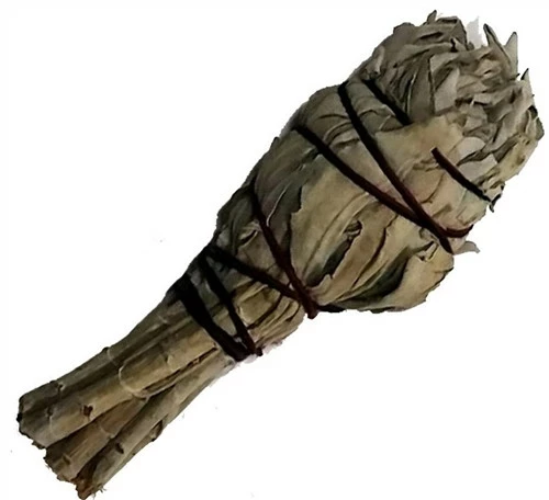 Smudge stick - white sage torch 3 Smudge stick - white sage torch