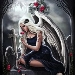 Angels Anna Marine - City of Angels wall flag