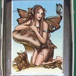 Fairies Renee Biertempfel- Mushroom Fairy cig/card case