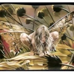 Sheila Wolk - Chameleon cosmetic bag