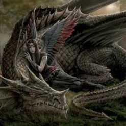 Dragons Anne Stokes - Winged Companions wall flag