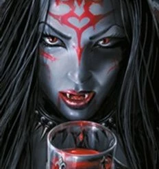 Spiral - Bitten door flag