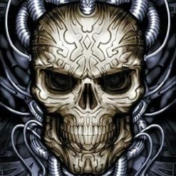 Skulls & Death Spiral - Plugged Skull wall flag