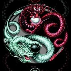 Spiral - Ying Yang Guardian wall flag