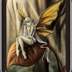 Fairies Iconic - Dreaming Fairy Medium Tin